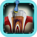 Endodontija